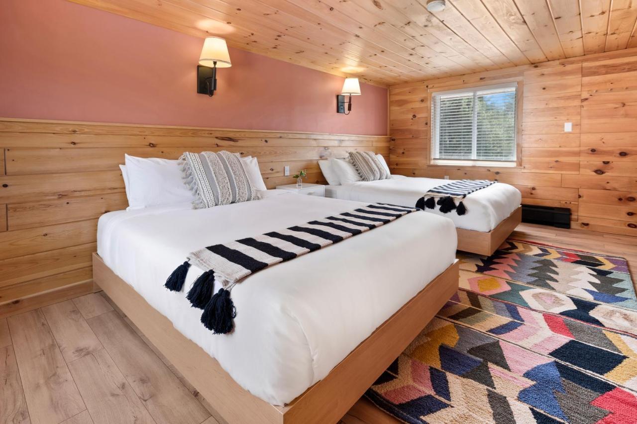Wolfjaw Lodge Wilmington Zewnętrze zdjęcie